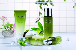 進(jìn)口化妝品 配方合規(guī)、專業(yè)物流與清關(guān)流程全解析