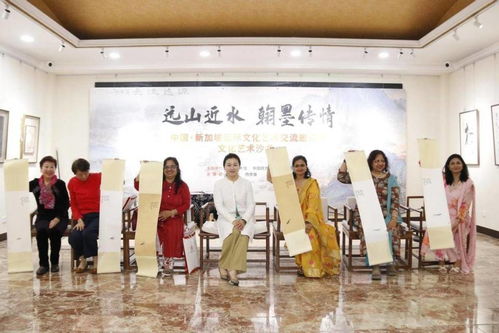 遠(yuǎn)山近水 翰墨傳情 中新國際文化藝術(shù)沙龍在京成功舉辦